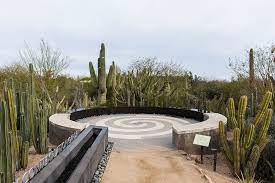 Desert botanical garden is home to thousands of species of cactus, trees and flowers from all around the world spread across 55 acres in phoenix, arizona. Desert Botanical Garden In Phoenix Indelible Memory Hideaway Report