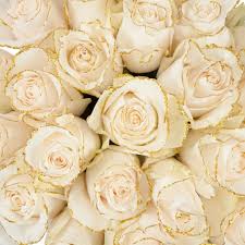Village flower shop is located at 84 route 37, new fairfield ct 06812. Hansen S Flower Shop Hansensflowers Twitter