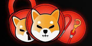 33 days have passed since then, and now the price is 18.86% of the. All About The Shiba Inu Coin And How To Buy It In India