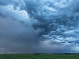 In appenzell ai fiel in zehn minuten eine der grössten regensummen, die in so kurzer zeit in der schweiz je gemessen. Ungluck Im Kanton Bern Gewitter In Der Schweiz Blitzeinschlag Totet 19 Kuhe Und Kalber Svz De