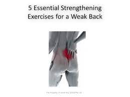 The muscles which you exercise during lower back exercises are deep rather than superficial. 5 Essential Lower Back Strengthening Exercises With Sarah Key