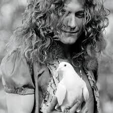 Neal Preston's best photograph: Robert Plant catches a dove