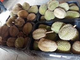 Many swear that balik pulau durians are still the best anywhere in malaysia. Penang Kini Untuk Makluman Musim Durian Di Balik Pulau Facebook