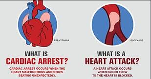 So i'm sure after reading these differences between heart attack and cardiac arrest, you should not. Difference Between Heart Attack And Cardiac Arrest