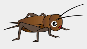 Its a cool vector bug to use as a mascot in campaigns or promos related to insects, and its also very nice to use in stories for children. Cricket Insect Clipart Png Cricket Bug Clipart Cliparts Cartoons Jing Fm