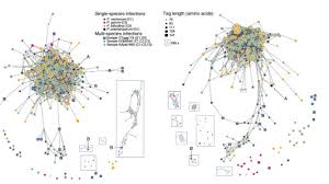 Image result for Science Math Applications Complex Systems Events