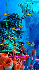See Amandalk S Animated Gif On Photobucket Click To Play Beautiful Sea Creatures Underwater Wallpaper Best Nature Wallpapers