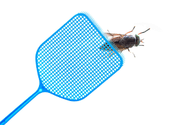 Computer fault are detected and passivated, which prevents the resulting error from propagating outside. Keep Flies Outside This Summer Raven Termite And Pest Control
