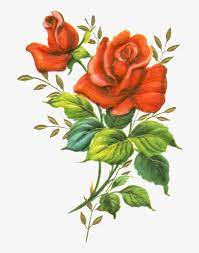 The following is a beautiful collection of some of the art nouveau flower designs and prints of maurice verneuil. Flowers To Print Decoupage Hd Png Download Kindpng
