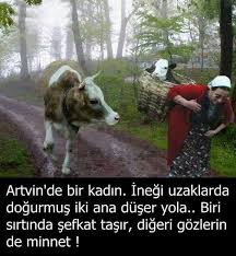 Masallah Hayvan Sozleri Hayvan Hayvan Bilimi