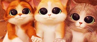 Resultado de imagen para gato xd gif