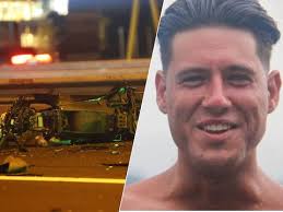 Mitch staat ineens oog in oog met een wolf in Steenbergen: 'Een hele  bijzondere ervaring'