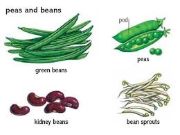 Pin On Ingles Vocabulary In Pictures