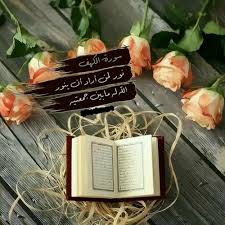 علمتني سورة الكهف على المسلم أن يأوي إلى سورة الكهف تلاوة وتدبرا وعملا لينجو من أعظم الفتن فتنة الدجال وفتنة الدين والم instagram posts greetings book cover