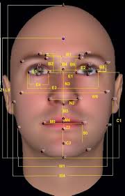 Judgments of Dominance from the Face Track Physical Strength