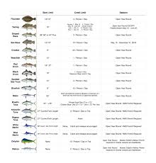 Sea Fishing Size Limits Chart Read All Fishing Rules And