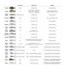 Sea Fishing Size Limits Chart Read All Fishing Rules And