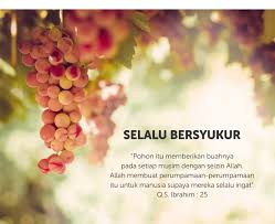 Hasil gambar untuk gambar orang bersyukur kepada allah