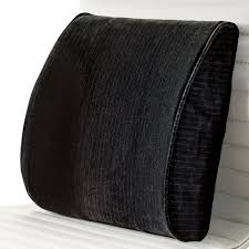 Biosense Memory Foam Pillow Cover Napform Lumbar Support Lumbar Support Cushion Support Pillows Lumbar Support