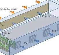 Pad-fan evaporative cooling in greenhouse. | Download ...