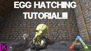 Ark Survival Evolved New Beginnings Egg Hatching Tutorial Youtube