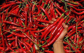 Kenaikan Harga Cabai: Dampak Terhadap Konsumen dan Intervensi Pemerintah