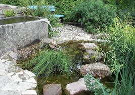 Ein Kleiner Wassergarten Wassergarten Wasser Im Garten Garten