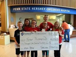 Fairview Panther Pride