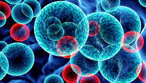 Cancer și tratamente pentru cancer. Ce Trebuie Sa Stim Despre Primele Semne Ale Leucemiei Health Ro