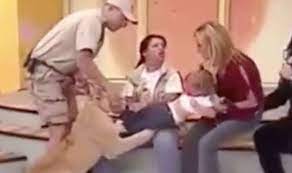 Terrifying Moment A Lioness Tries To Kill A Baby Live On Television World News Express Co Uk