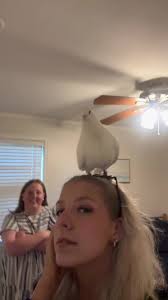 Gabrielle Byrd (@gabriellebyrd_44)'s videos with swimming pools