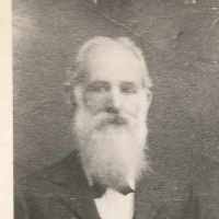 Stephen Francois Willard (1845–1920)