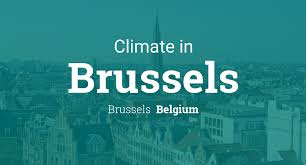 climate weather averages in brussels belgium