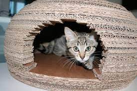 domik v vide yurty cat house diy cat photography dog house diy