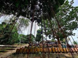 But, i also cherish greenery and the serenity it offers people and wildlife. Hike The Other Side Of Dover Forest Clementi Forest Bunker Cemetery Dover Forest Clementi 20 February 2021