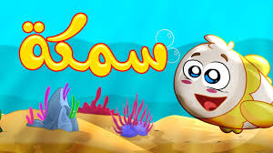 سمكة طيور بيبي Toyor Baby Youtube