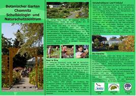 In verbindung mit der düne wird auch ein ausschnitt einer atlantischen heide gezeigt, in der die atlantische krähenbeere dominiert. Forderverein Botanischer Garten E V