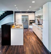 high gloss kitchens houzz