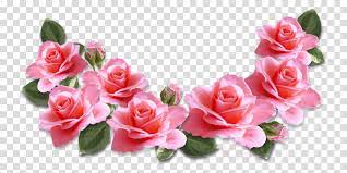 250k free png images with transparent background in 1500 pixels x 1500 pixels Download Pink Flowers Png Clipart Pink Flowers Rose Pink Roses Flowers Transparent Full Size Png Image Pngkit