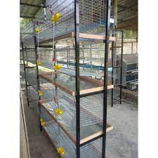 Dalam beternak puyuh sebenarnya tidak begitu sulit, pada umunya sama dengan beternak burung lainnya yang biasanya dipelihara di dalam kandang. Sangkar Puyuh 1 Unit Sesuai Untuk Puyuh Penelur Atau Induk Puyuh Sumber Unggas Shopee Malaysia