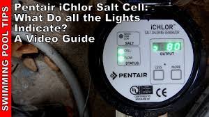 The intellichlor scg needs to be inspected. Pentair Ichlor Salt Cell What Do All The Lights Indicate A Video Guide Youtube