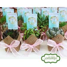 60th Birthday Party Ideas For Mom Philippines Succulents Birthday Giveaways Succulents Philippine Weddings Events Ph Succulents Philippines 60th Birthday Giv Birthday Giveaways 60th Birthday Birthday