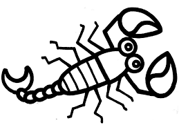 24 ekim 22 kasim arasinda dogan akrep burcu bebekleri dogdugu gunden itibaren gurur ve kararlilik davranislarina damgasini vurur bu burcun bebeklerini hemen