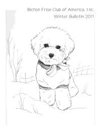Bichon Frise Club of America, Inc. Winter Bulletin 2011