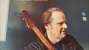Walter Trout 🎸 🇺🇲