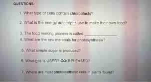 All of the green structures in plants, including stems and unripened fruit, contain chloroplasts, but the majority of photosynthesis activity in most plants occurs in the leaves. Solved Chloroplasts Plant Cells And Some Algae Contain An Chegg Com