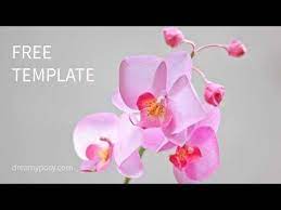 This Is The Free Video Tutorial And Free Template For Orchid Paper Flower And Abstract Paper Vase This Paper Flower Template Paper Flower Tutorial Paper Roses