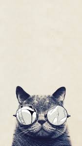 Cool Cat Glasses Iphone 6 Plus Hd Wallpaper J Cat Phone Wallpaper Hipster Wallpaper Cat Glasses