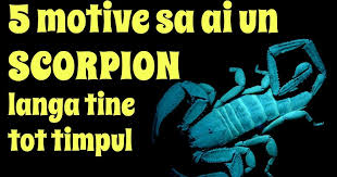 Esi sunt buni la suflet și există cel puțin 10 motive pentru a considera zodia balanței ca fiind cea mai bună dintre toate celelalte. Zodia Scorpion Personalitate Profil Profesional Dragoste SÄƒnÄƒtate