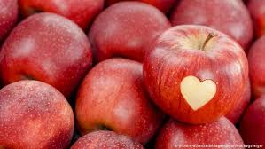 Apple helps to keep our teeth healthy, prevents alzheimer's and parkinson's disease, increases digestion and metabolism rate. Forbidden Fruit The Curious Early History Of Apples Science In Depth Reporting On Science And Technology Dw 31 05 2019